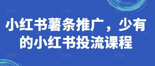 小红书薯条推广，少有的小红书投流课程-菜菜网创