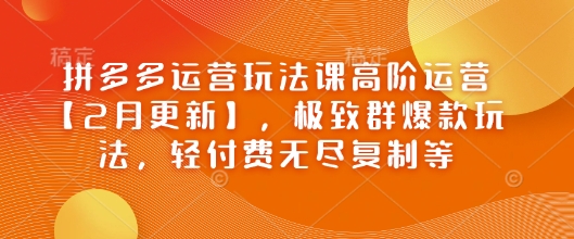 拼多多运营玩法课高阶运营【2月更新】，极致群爆款玩法，轻付费无尽复制等-菜菜网创