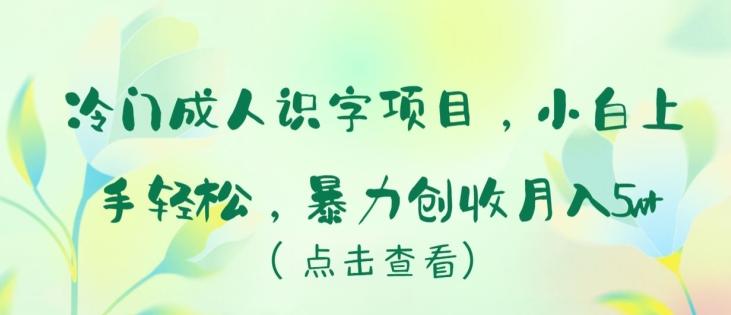 冷门成人识字项目，小白上手轻松，暴力创收月入5w+【揭秘】-菜菜网创