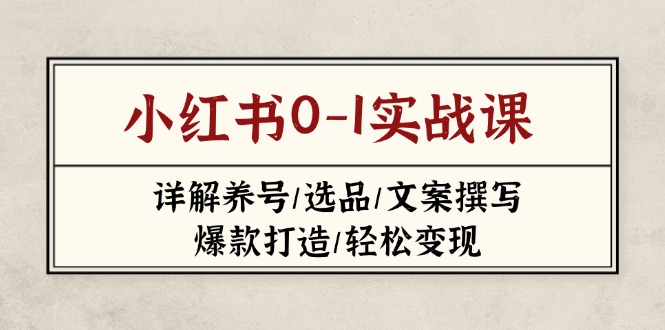 小红书0-1实战课(2023-2025-菜菜网创