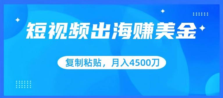 短视频出海赚美金，复制粘贴批量操作，小白轻松掌握，月入4500美刀【揭秘】-菜菜网创