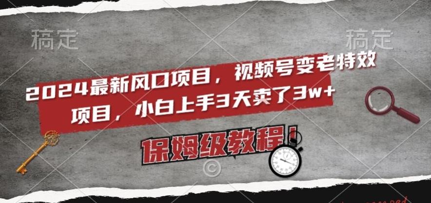 2024最新风口项目，视频号变老特效项目，电脑小白上手3天卖了3w+，保姆级教程【揭秘】-菜菜网创