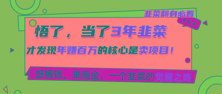 悟了，当了3年韭菜，才发现网赚圈年赚100万的核心是卖项目，含泪分享！-菜菜网创