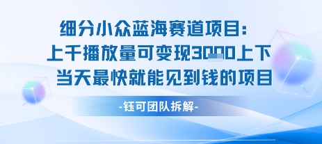 小众蓝海赛道项目：当天变现1k+适合新手操作 +适合长期玩-菜菜网创