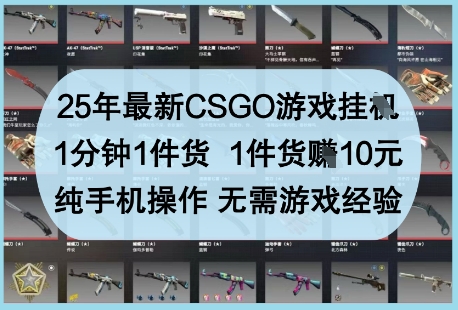 25年最新CSGO游戏挂G，1分钟1件货，1件货挣10元，纯手机操作，无需游戏经验【揭秘】-菜菜网创