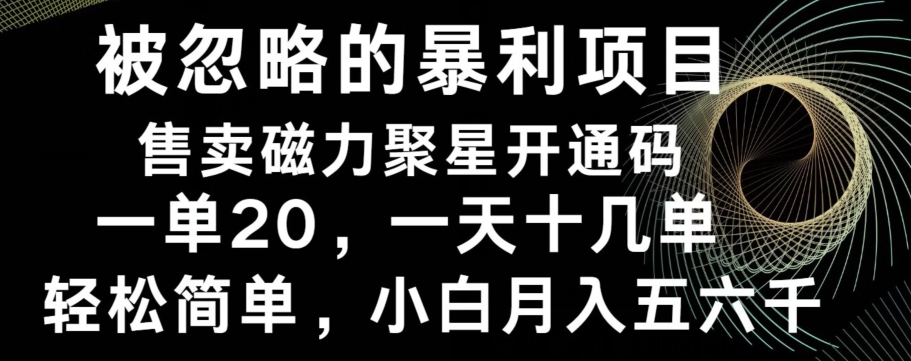 被忽略的暴利项目！售卖磁力聚星开通码，一单20，一天十几单，轻松月入五六千-菜菜网创