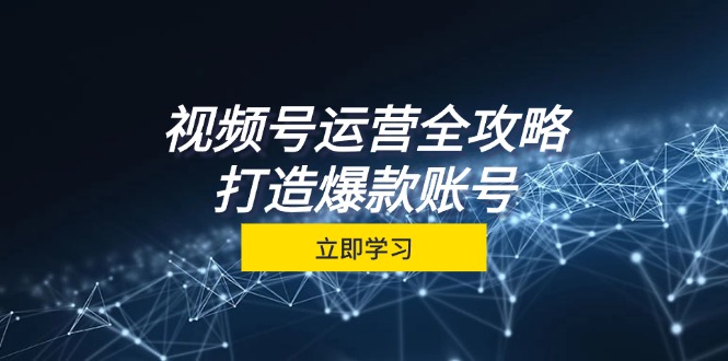 视频号运营全攻略，从定位到成交一站式学习，视频号核心秘诀，打造爆款…-菜菜网创
