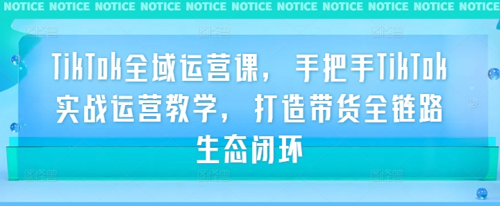 TikTok全域运营课，手把手TikTok实战运营教学，打造带货全链路生态闭环-菜菜网创