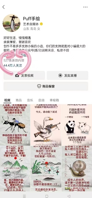 Puff手绘视频号分成项目，三天过分成计划，简单易上手，适合新手-菜菜网创