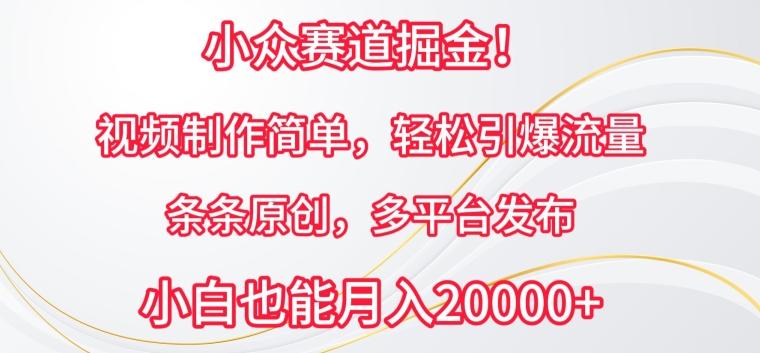 小众赛道掘金，视频制作简单，轻松引爆流量，条条原创，多平台发布【揭秘】-菜菜网创