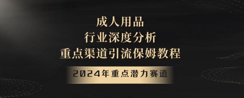 2024年重点潜力赛道，成人用品行业深度分析，重点渠道引流保姆教程【揭秘】-菜菜网创