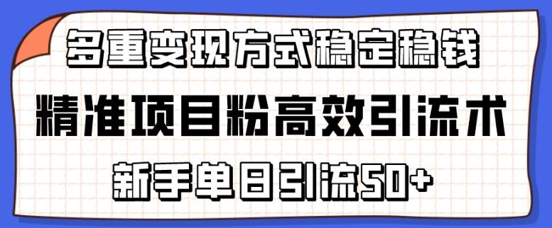 精准项目粉高效引流术，新手单日引流50+，多重变现方式稳定赚钱【揭秘】-菜菜网创