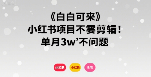 小白可来 小红书项目不需要剪辑 单月3w不是问题-菜菜网创