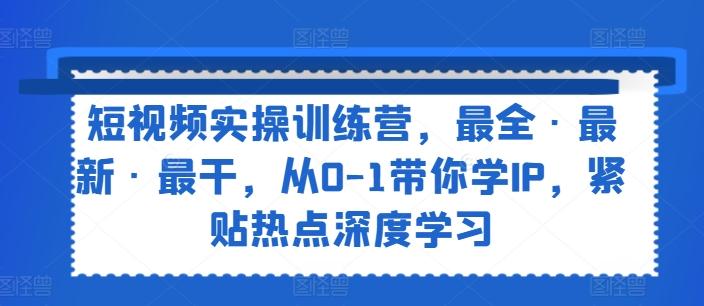短视频实操训练营，最全·最新·最干，从0-1带你学IP，紧贴热点深度学习-菜菜网创
