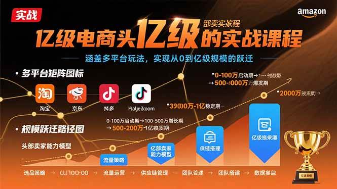 （15803期）亿级电商头部卖家的实战课程：涵盖多平台玩法，实现从0到亿级规模的跃迁-菜菜网创
