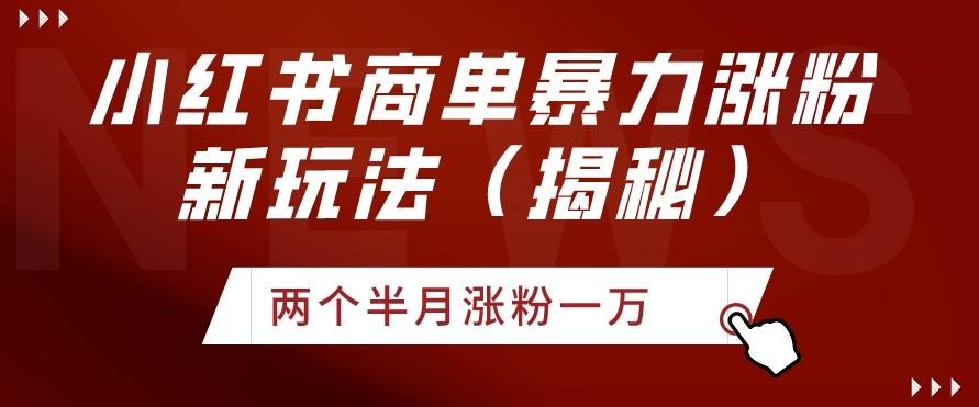 小红书商单暴力涨粉新玩法两个半月涨粉一万（揭秘）-菜菜网创