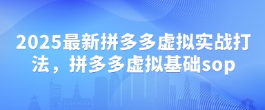 2025最新拼多多虚拟实战打法，拼多多虚拟基础sop-菜菜网创