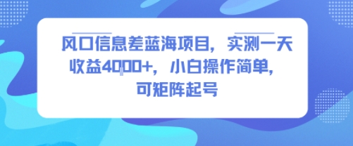 风口信息差蓝海项目，实测一天收益4k+，小白操作简单，可矩阵起号-菜菜网创