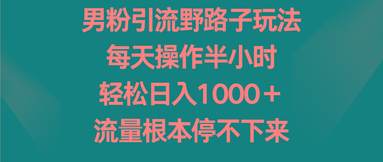 男粉引流野路子玩法，每天操作半小时轻松日入1000＋，流量根本停不下来-菜菜网创