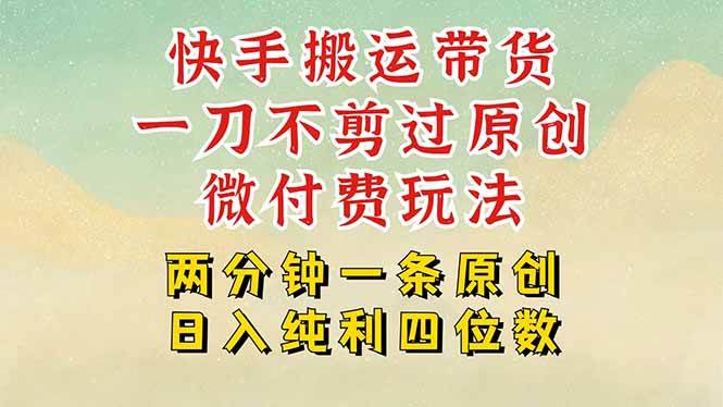 （15577期）快手黑科技搬运带货，一刀不剪过原创，微付费投流玩法，轻松日入四位数…-菜菜网创