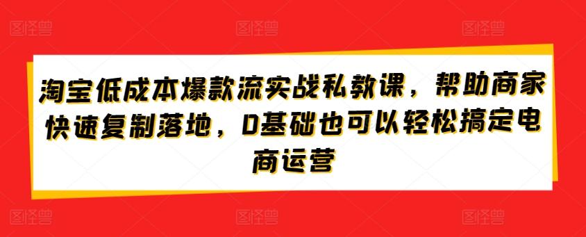 淘宝低成本爆款流实战私教课，帮助商家快速复制落地，0基础也可以轻松搞定电商运营-菜菜网创
