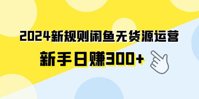 (9522期)2024新规则闲鱼无货源运营新手日赚300+-菜菜网创