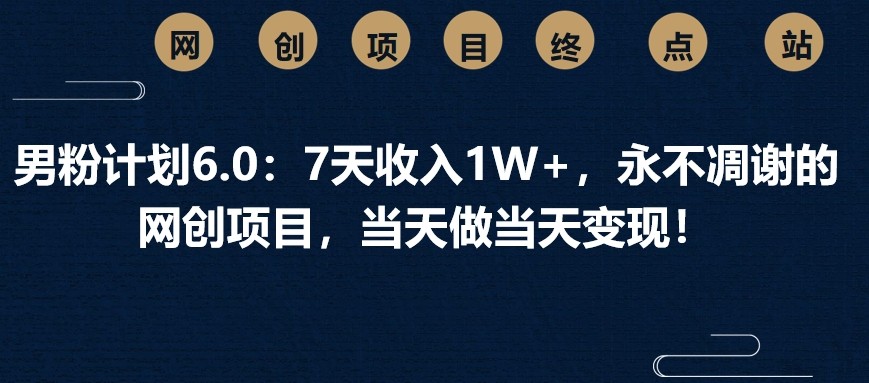 男粉计划6.0：7天收入1W+，永不凋谢的网创项目，当天做当天变现！-菜菜网创