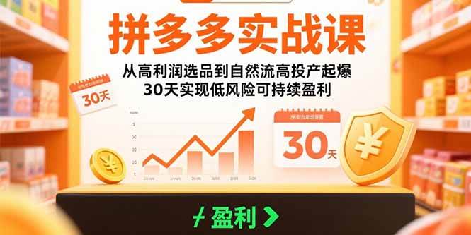 （15586期）拼多多实战课：从高利润选品到自然流高投产起爆 30天实现低风险可持续盈利-菜菜网创