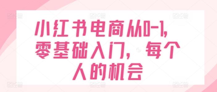 小红书电商从0-1，零基础入门，每个人的机会-菜菜网创