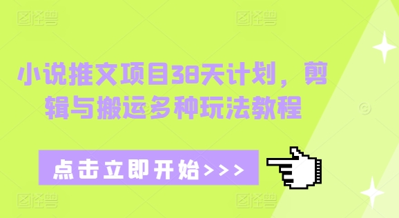 小说推文项目38天计划，剪辑与搬运多种玩法教程-菜菜网创