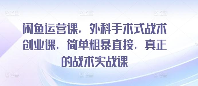 闲鱼运营课，外科手术式战术创业课，简单粗暴直接，真正的战术实战课-菜菜网创