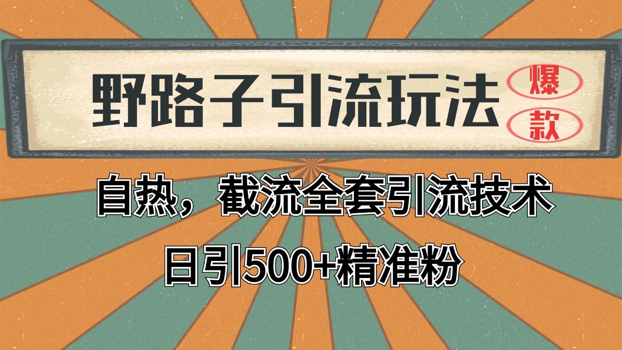 抖音小红书视频号全平台引流打法，全自动引流日引2000+精准客户-菜菜网创