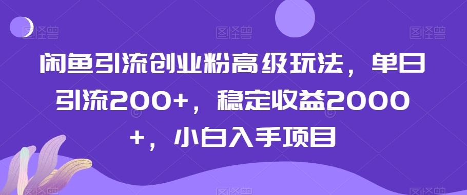 闲鱼引流创业粉高级玩法，单日引流200+，稳定收益2000+，小白入手项目-菜菜网创