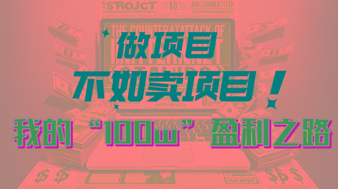 为什么做项目不如卖项目？我的100W+盈利之路-菜菜网创