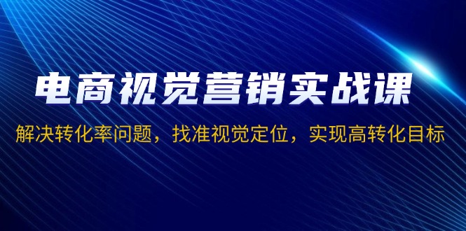 电商视觉营销实战课，解决转化率问题，找准视觉定位，实现高转化目标-菜菜网创