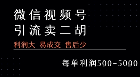 视频号卖二胡教程，利润大 易成交 售后少，一单利润5张+-菜菜网创