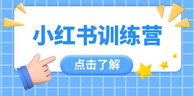 小红书训练营，助小白入门，掌握技巧变达人，课程实操又全面(12节课)-菜菜网创