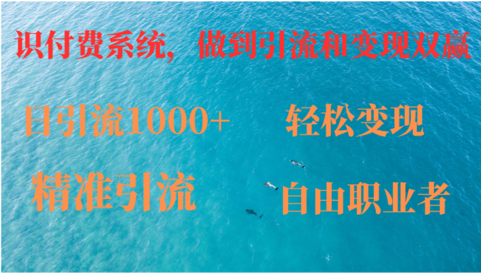 如何搭建自己的知识付费系统，做到引流和变现双赢-菜菜网创