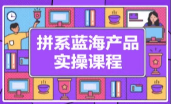 拼系冷门蓝海产品实操课程，从注册店铺到选品上架到流量维护环环相扣-菜菜网创