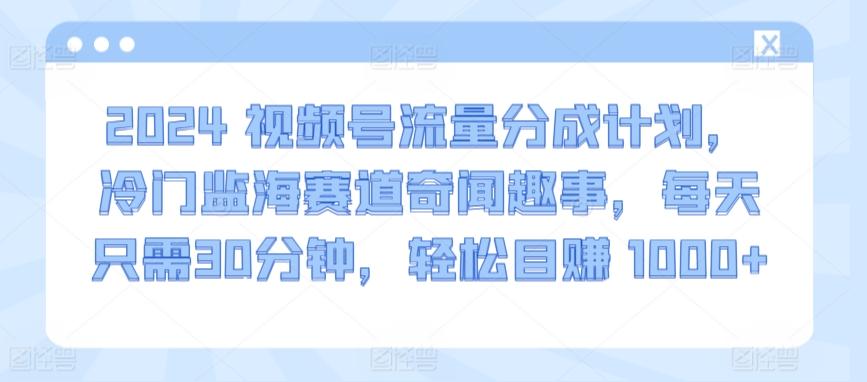 2024视频号流量分成计划，冷门监海赛道奇闻趣事，每天只需30分钟，轻松目赚 1000+【揭秘】-菜菜网创