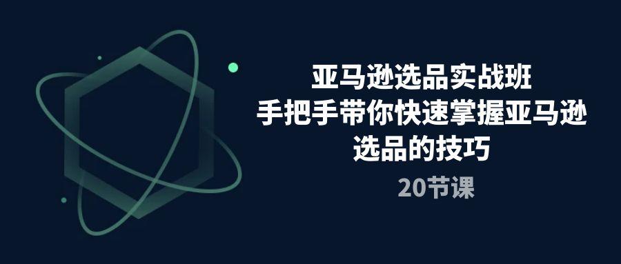 亚马逊选品实战班，手把手带你快速掌握亚马逊选品的技巧(20节课-菜菜网创