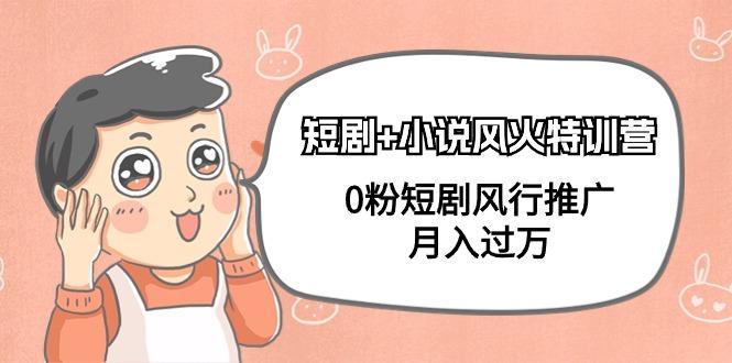 (9374期)短剧+小说风火特训营，0粉短剧风行推广，月入过万(102节课)-菜菜网创