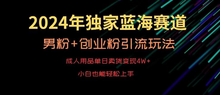2024年独家蓝海赛道，成人用品单日卖货变现4W+，男粉+创业粉引流玩法，不愁搞不到流量【揭秘】-菜菜网创