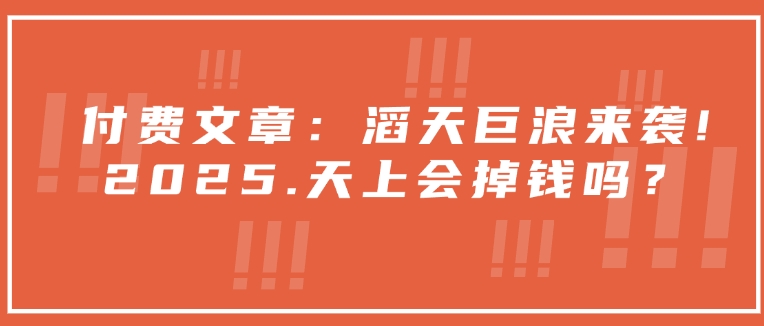 付费文章：滔天巨浪来袭！2025天上会掉钱吗？-菜菜网创