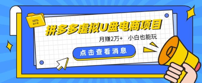 拼多多虚拟U盘电商红利项目：月赚2万+，新手小白也能玩-菜菜网创