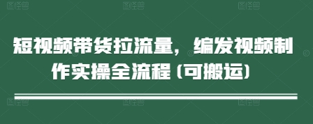 短视频带货拉流量，编发视频制作实操全流程(可搬运)-菜菜网创
