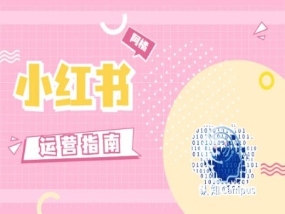 小红书运营指南，没有套路，全是经验-菜菜网创
