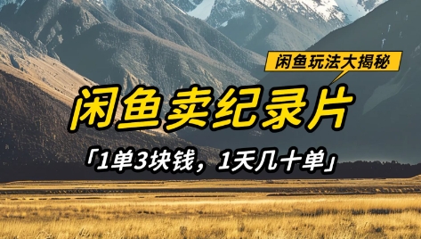 闲鱼卖纪录片1单3块钱，1天几十单，项目稳定有潜力-菜菜网创