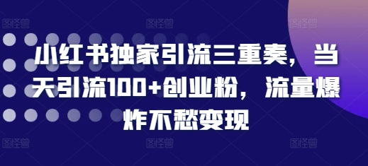小红书独家引流三重奏，当天引流100+创业粉，流量爆炸不愁变现【揭秘】-菜菜网创