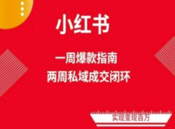 爆款小红书免费流量体系课程(两周变现)，小红书电商教程-菜菜网创